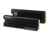 Samsung 1TB M.2 2280 NVMe 9100 Pro with Heatsink